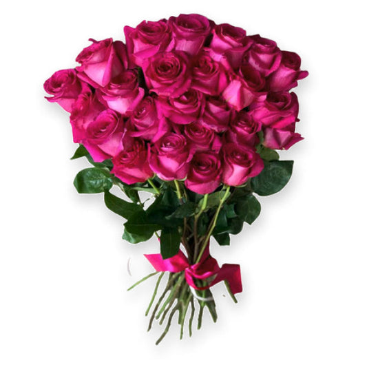 Rose Bloom