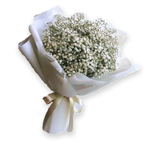 Lavender Daisy